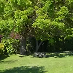 Logis De Chenac - Et Table D'hotes