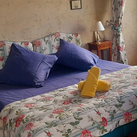 Logis De Chenac - Et Table D'hôtes Chenac Saint Seurin d'Uzet