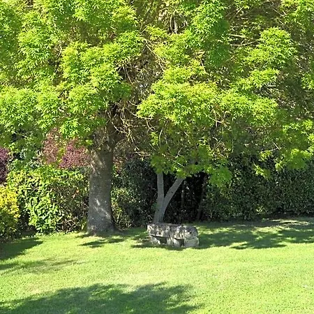 Logis De Chenac - Et Table D'hotes Oda ve Kahvaltı