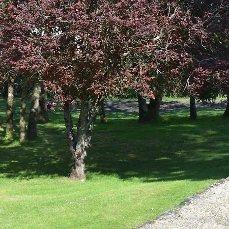 Logis De Chenac - Et Table D'hôtes Couette-café Chenac Saint Seurin d'Uzet