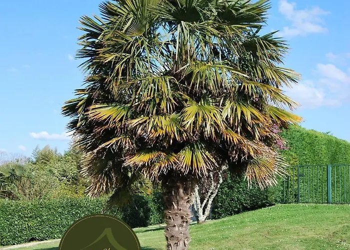 Logis De Chenac - Et Table D'hotes 3* Chenac Saint Seurin d'Uzet