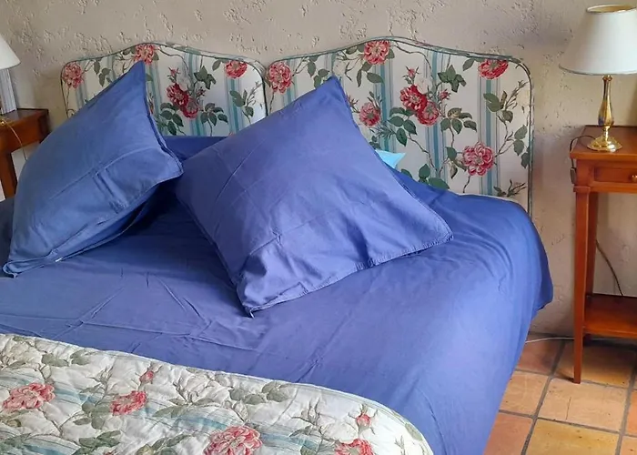 Logis De Chenac - Et Table D'hotes Chenac Saint Seurin d'Uzet