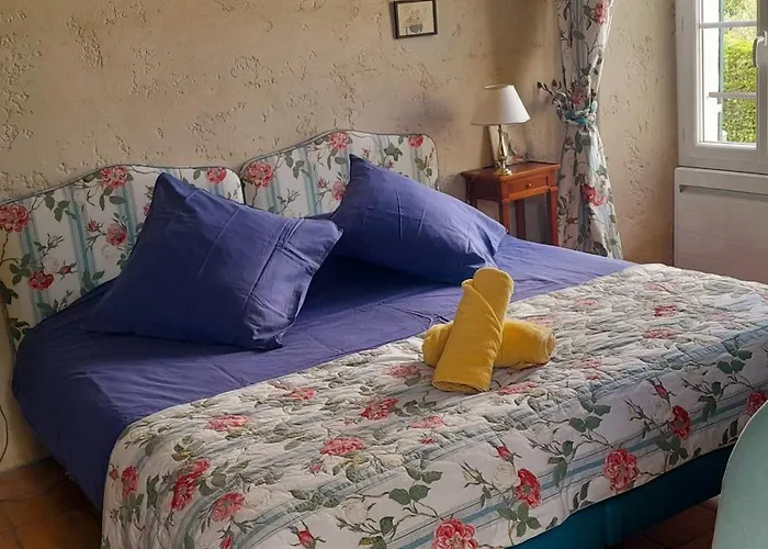 Logis De Chenac - Et Table D'hotes Chenac Saint Seurin d'Uzet